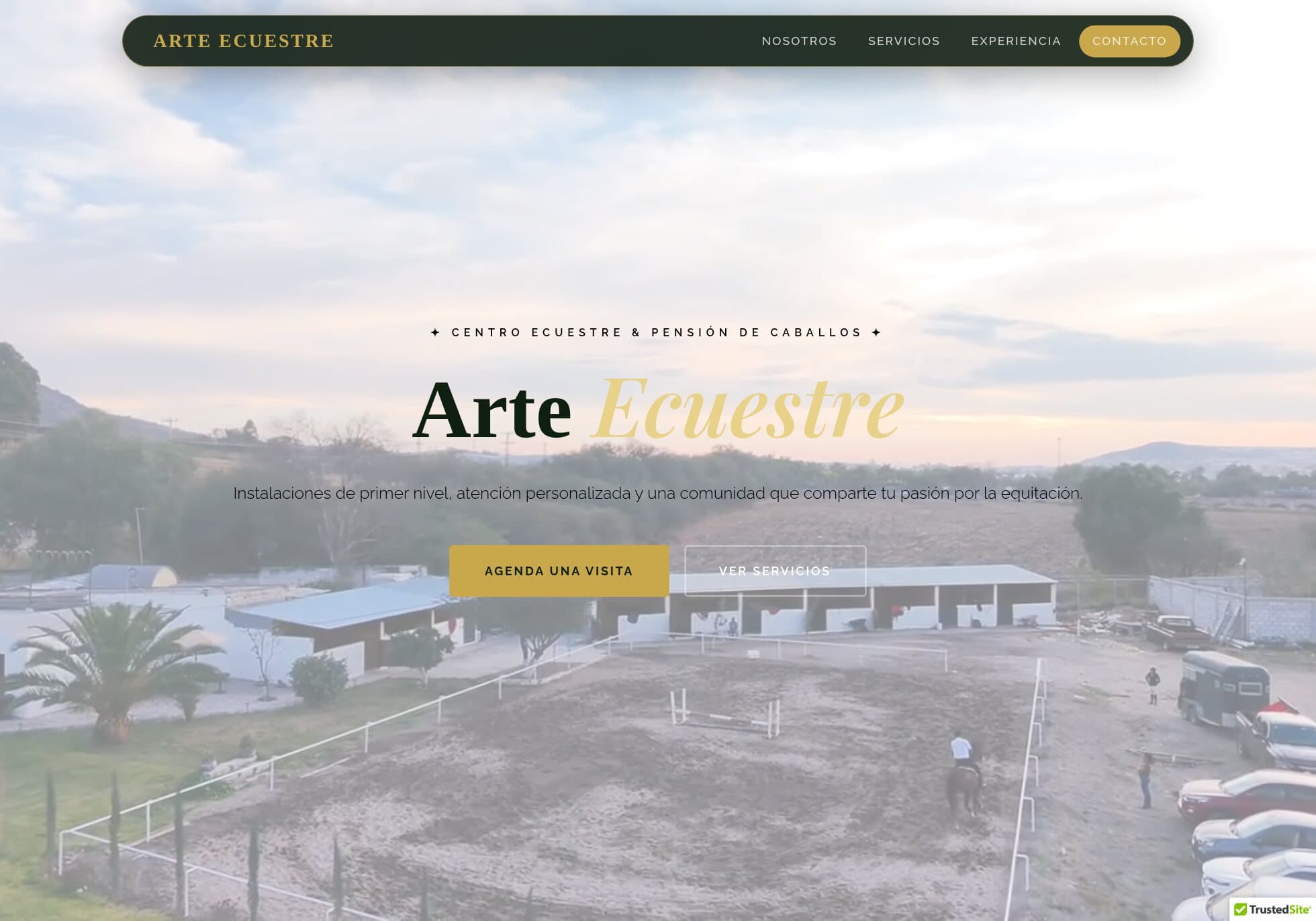 arteecuestre.com home page: the name “Arte Ecuestre” over an aerial view of the arenas and stables.